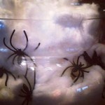 Spiders in Jar