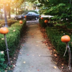 Pumpkin Walkway